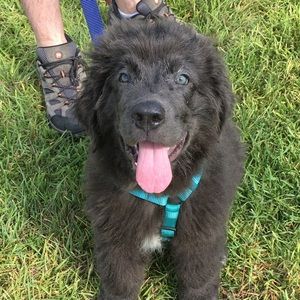 Meet your Posher, Christina